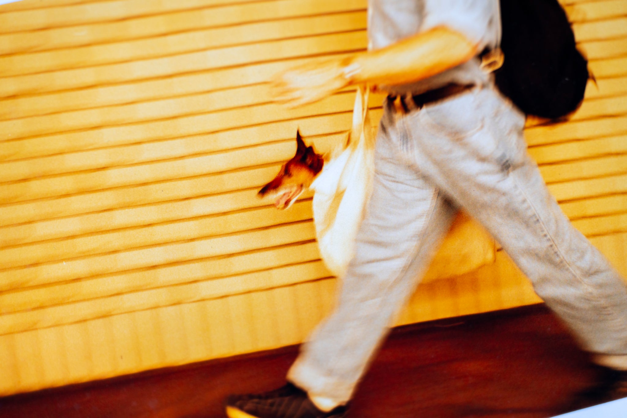 BRING YOUR DOG TO WORK - VINTAGE PRINT 1999