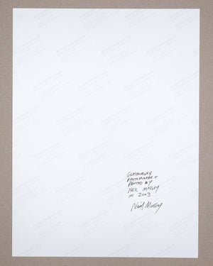 HORSES HEAD - VINTAGE PRINT 2003